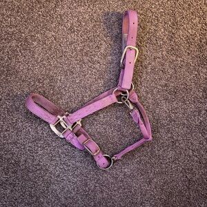 Purple Horse Halter